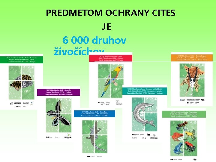 PREDMETOM OCHRANY CITES JE 6 000 druhov živočíchov 