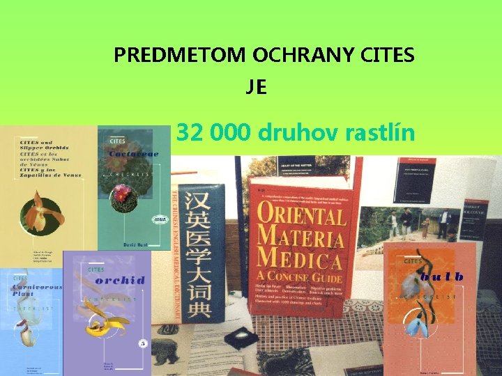 PREDMETOM OCHRANY CITES JE 32 000 druhov rastlín 