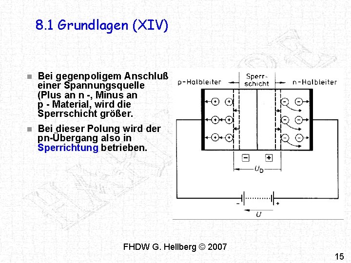 8. 1 Grundlagen (XIV) n Bei gegenpoligem Anschluß einer Spannungsquelle (Plus an n -,