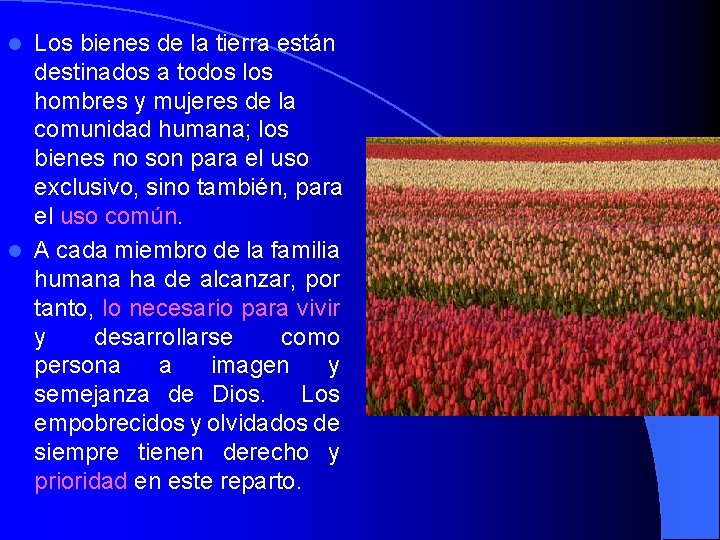 Los bienes de la tierra están destinados a todos los hombres y mujeres de