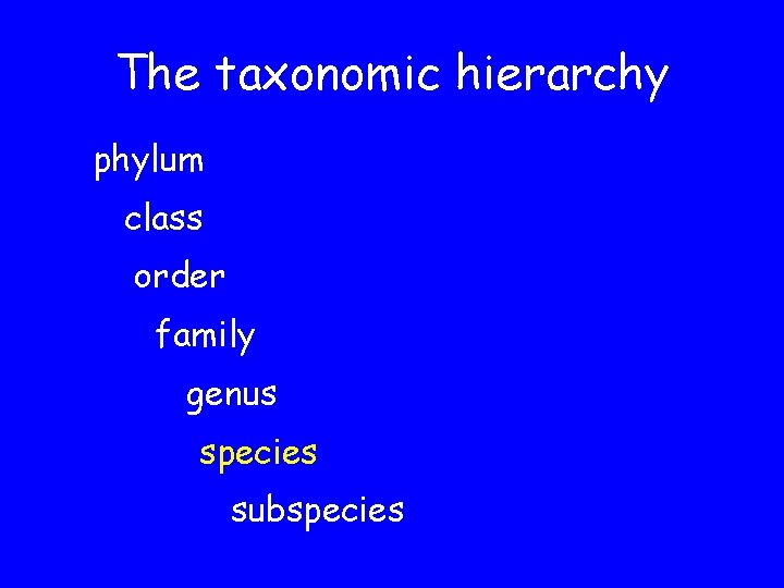 The taxonomic hierarchy phylum class order family genus species subspecies 