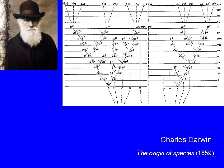 Charles Darwin The origin of species (1859) 