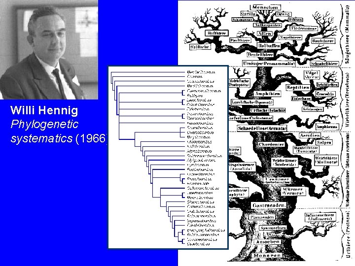 Willi Hennig Phylogenetic systematics (1966) 