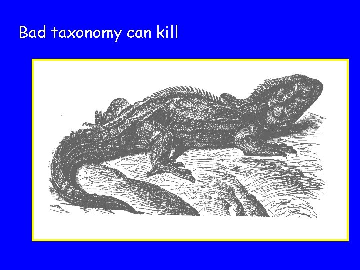 Bad taxonomy can kill 