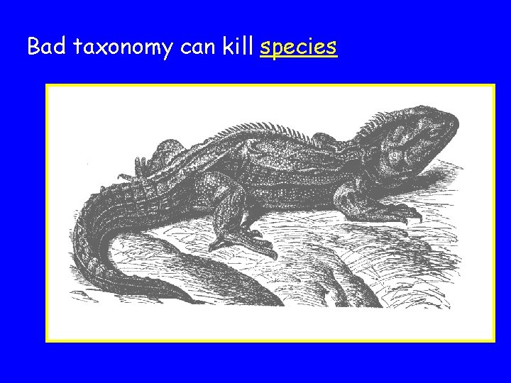 Bad taxonomy can kill species 