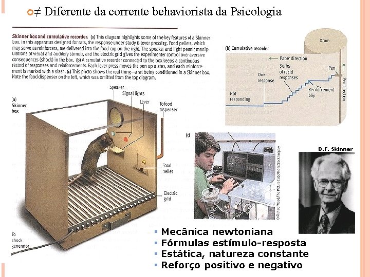  ≠ Diferente da corrente behaviorista da Psicologia B. F. Skinner § Mecânica newtoniana