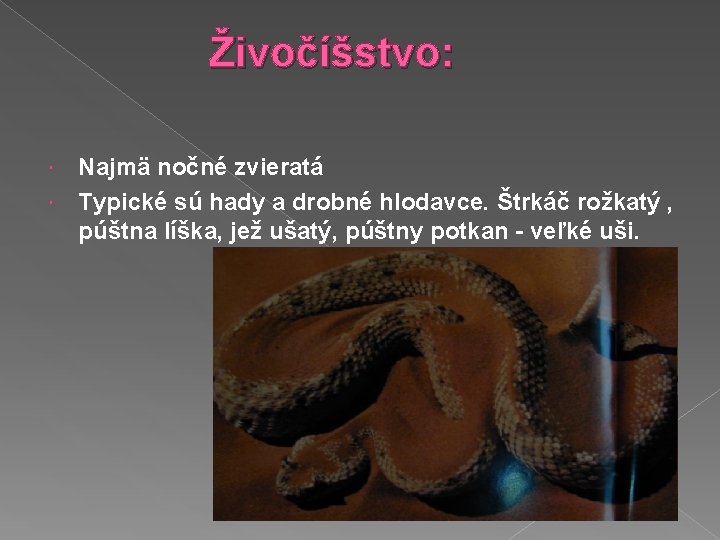 Živočíšstvo: Najmä nočné zvieratá Typické sú hady a drobné hlodavce. Štrkáč rožkatý , púštna