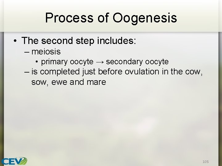 Process of Oogenesis • The second step includes: – meiosis • primary oocyte →