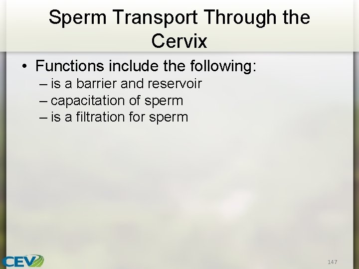 Sperm Transport Through the Cervix • Functions include the following: – is a barrier