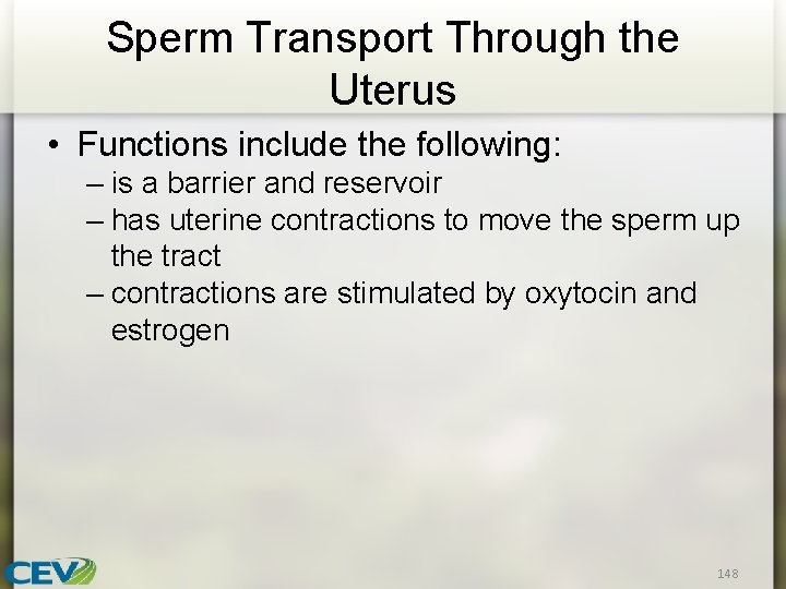 Sperm Transport Through the Uterus • Functions include the following: – is a barrier