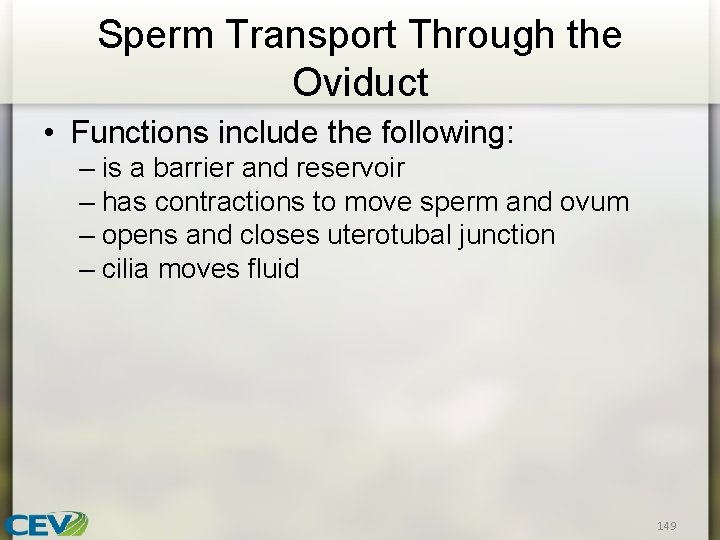 Sperm Transport Through the Oviduct • Functions include the following: – is a barrier