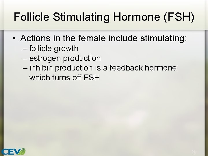 Follicle Stimulating Hormone (FSH) • Actions in the female include stimulating: – follicle growth