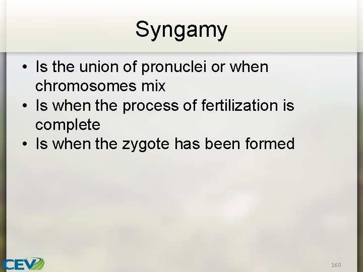 Syngamy • Is the union of pronuclei or when chromosomes mix • Is when
