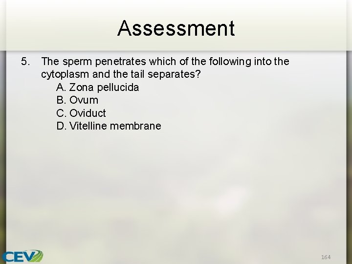 Assessment 5. The sperm penetrates which of the following into the cytoplasm and the