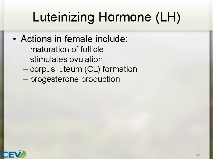 Luteinizing Hormone (LH) • Actions in female include: – maturation of follicle – stimulates