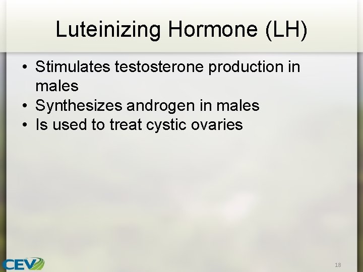 Luteinizing Hormone (LH) • Stimulates testosterone production in males • Synthesizes androgen in males