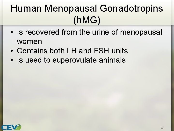 Human Menopausal Gonadotropins (h. MG) • Is recovered from the urine of menopausal women