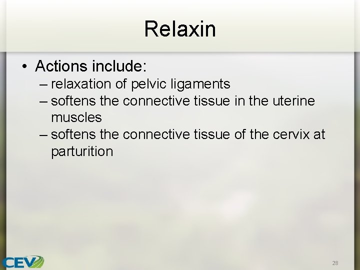 Relaxin • Actions include: – relaxation of pelvic ligaments – softens the connective tissue