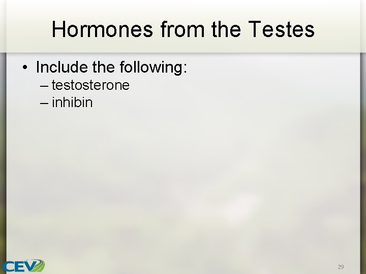 Hormones from the Testes • Include the following: – testosterone – inhibin 29 