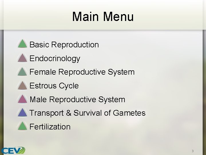 Main Menu Basic Reproduction Endocrinology Female Reproductive System Estrous Cycle Male Reproductive System Transport