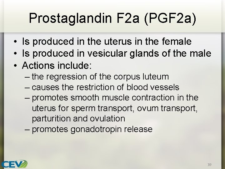 Prostaglandin F 2 a (PGF 2 a) • Is produced in the uterus in