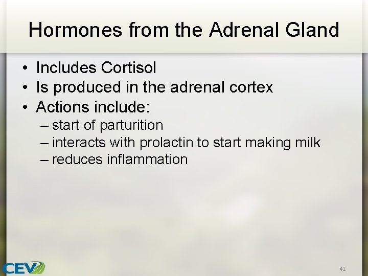 Hormones from the Adrenal Gland • Includes Cortisol • Is produced in the adrenal