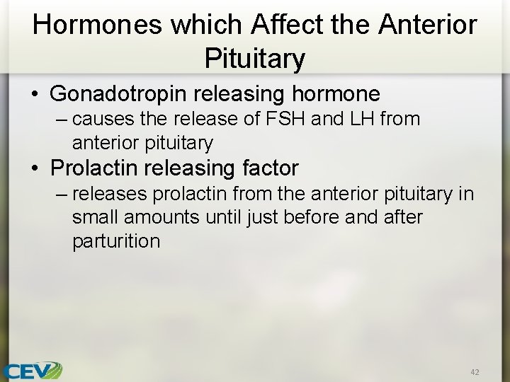 Hormones which Affect the Anterior Pituitary • Gonadotropin releasing hormone – causes the release