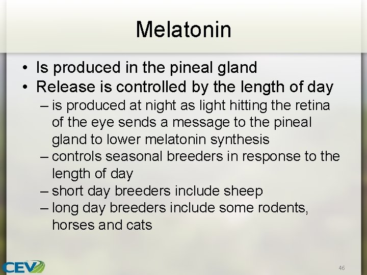 Melatonin • Is produced in the pineal gland • Release is controlled by the