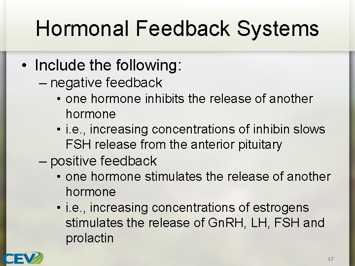 Hormonal Feedback Systems • Include the following: – negative feedback • one hormone inhibits