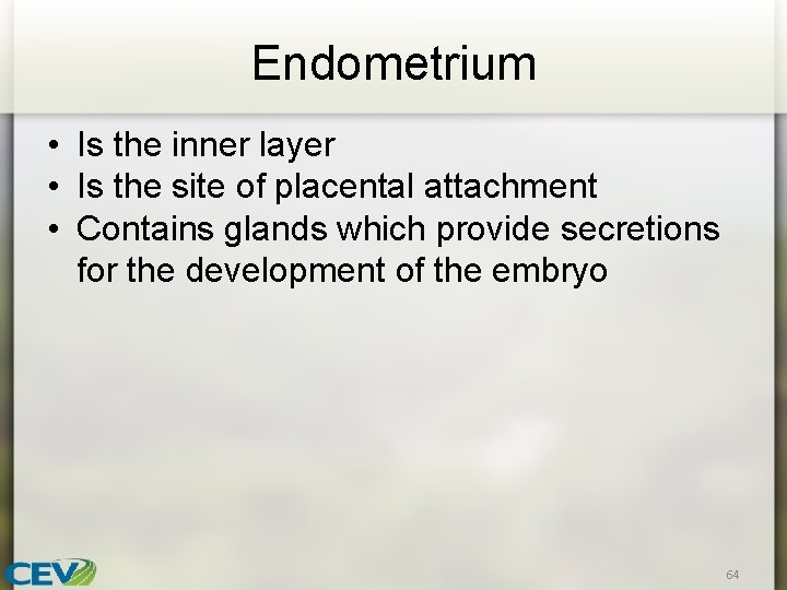 Endometrium • Is the inner layer • Is the site of placental attachment •