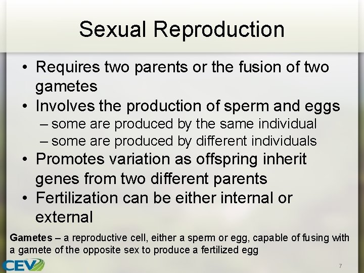 Sexual Reproduction • Requires two parents or the fusion of two gametes • Involves