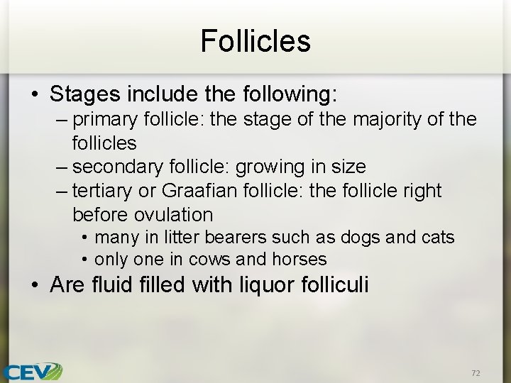 Follicles • Stages include the following: – primary follicle: the stage of the majority