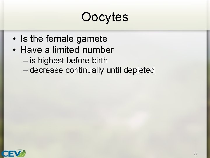 Oocytes • Is the female gamete • Have a limited number – is highest