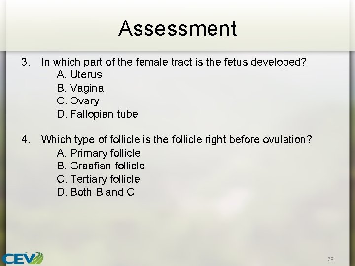 Assessment 3. In which part of the female tract is the fetus developed? A.