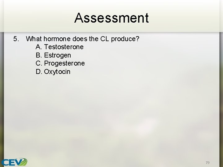 Assessment 5. What hormone does the CL produce? A. Testosterone B. Estrogen C. Progesterone