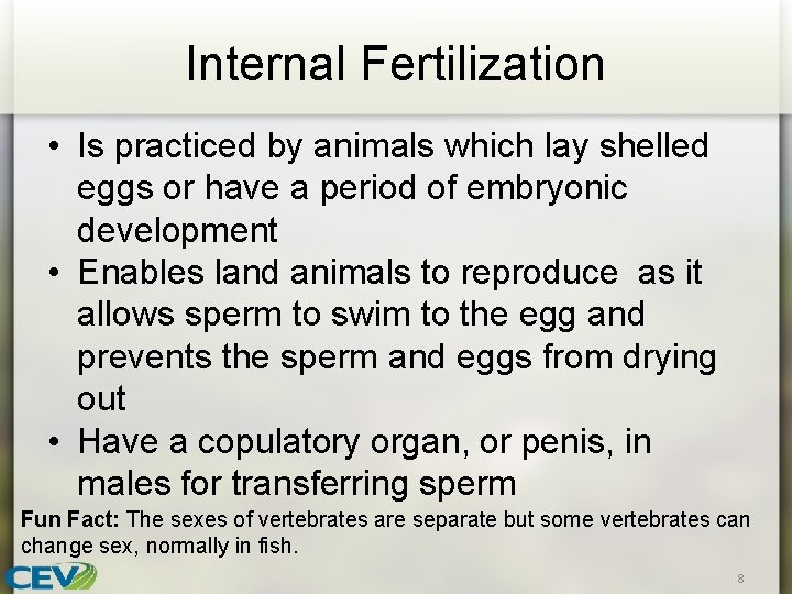 Internal Fertilization • Is practiced by animals which lay shelled eggs or have a