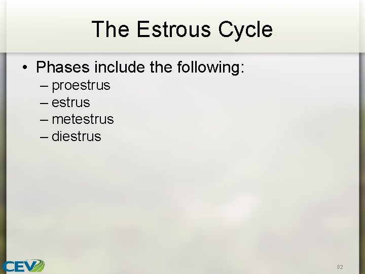 The Estrous Cycle • Phases include the following: – proestrus – metestrus – diestrus