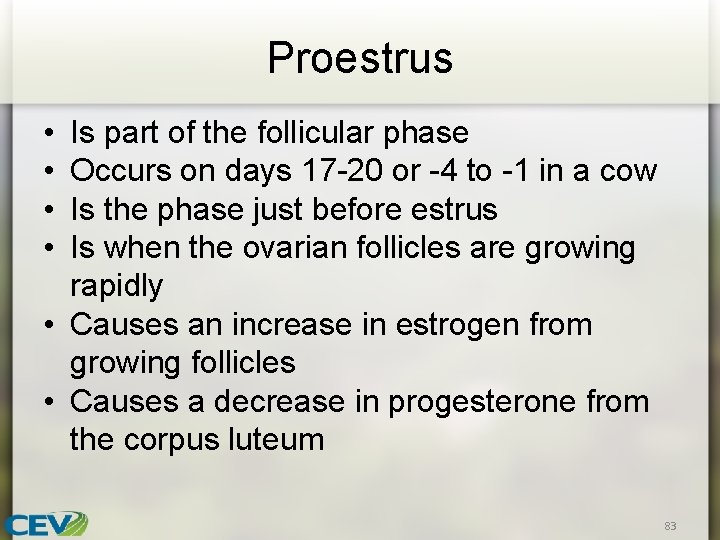 Proestrus • • Is part of the follicular phase Occurs on days 17 -20