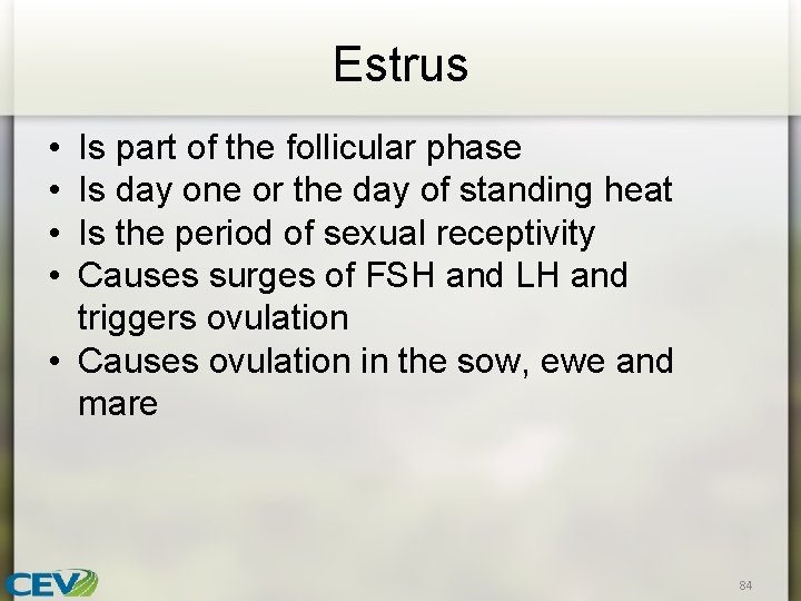 Estrus • • Is part of the follicular phase Is day one or the