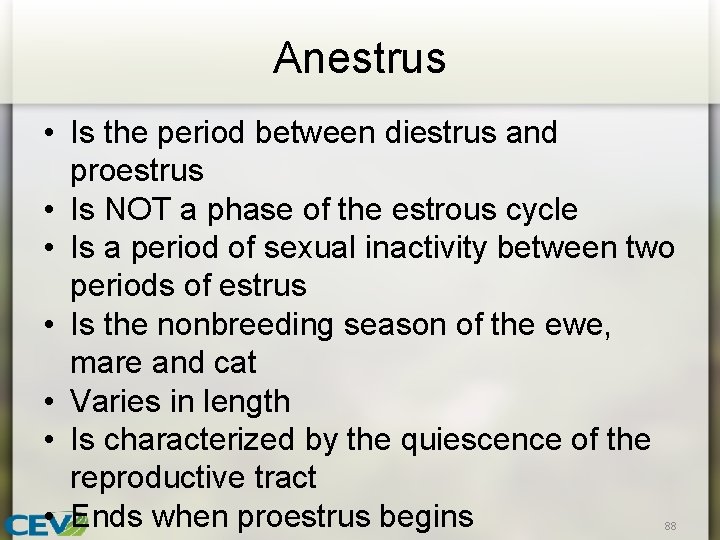 Anestrus • Is the period between diestrus and proestrus • Is NOT a phase