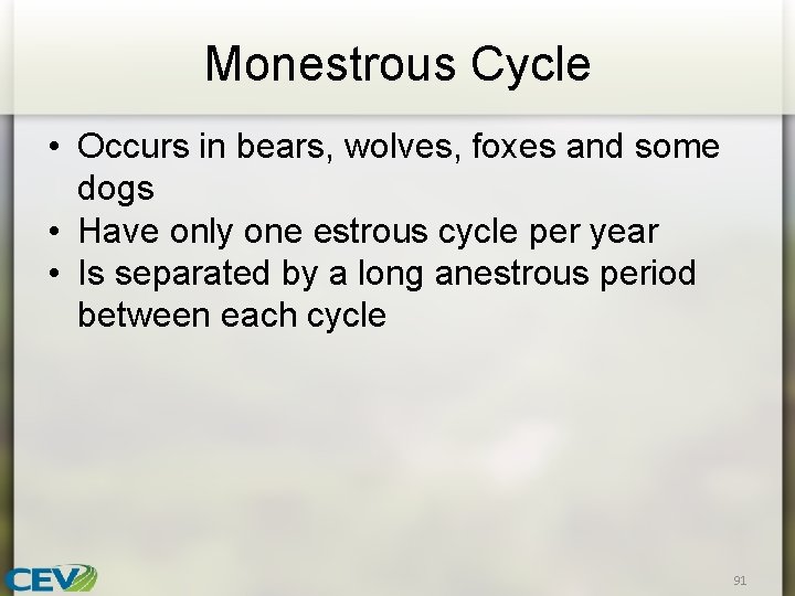 Monestrous Cycle • Occurs in bears, wolves, foxes and some dogs • Have only