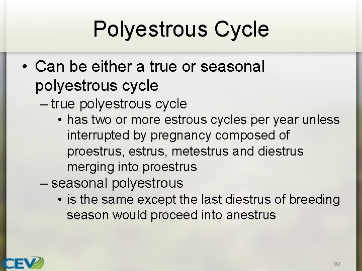 Polyestrous Cycle • Can be either a true or seasonal polyestrous cycle – true