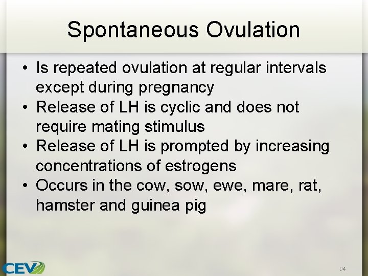 Spontaneous Ovulation • Is repeated ovulation at regular intervals except during pregnancy • Release