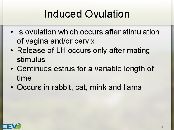 Induced Ovulation • Is ovulation which occurs after stimulation of vagina and/or cervix •