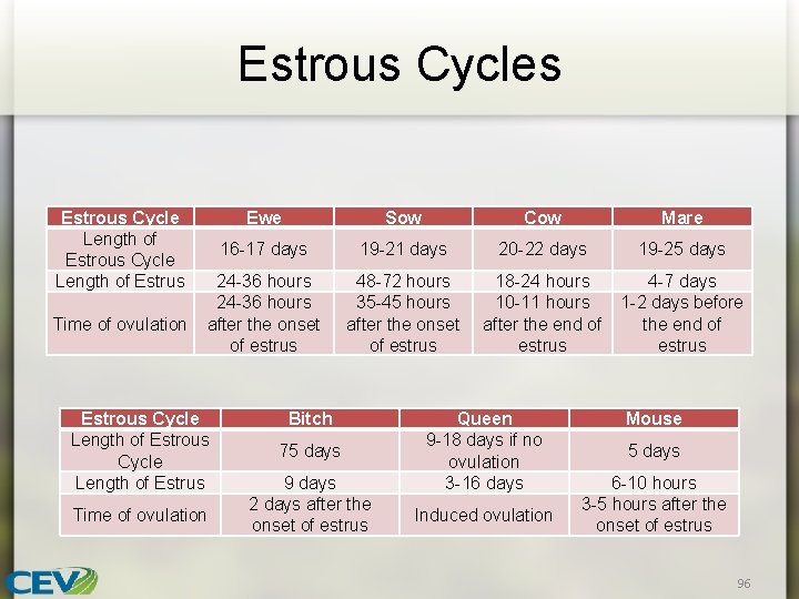 Estrous Cycles Estrous Cycle Length of Estrus Time of ovulation Ewe Sow Cow Mare