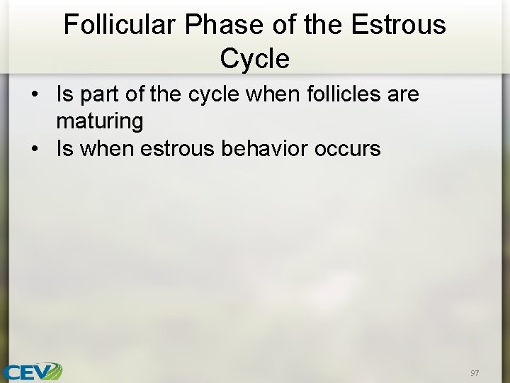 Follicular Phase of the Estrous Cycle • Is part of the cycle when follicles