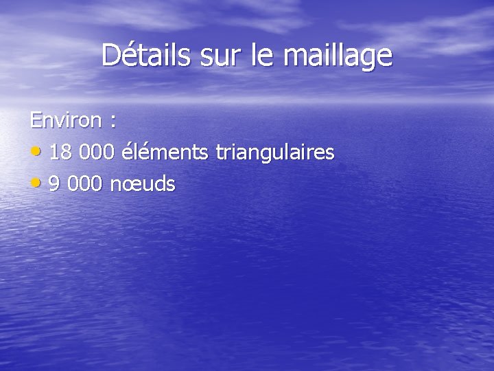 Détails sur le maillage Environ : • 18 000 éléments triangulaires • 9 000