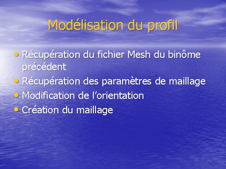 Modélisation du profil • Récupération du fichier Mesh du binôme précédent • Récupération des