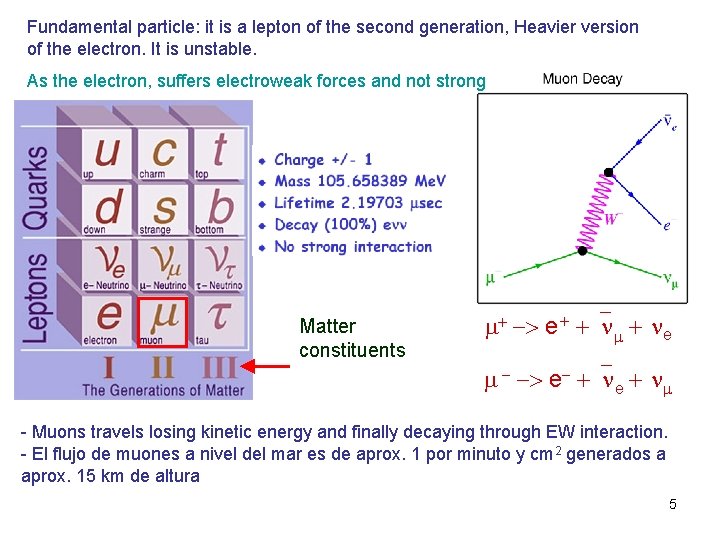 Fundamental particle: it is a lepton of the second generation, Heavier version of the