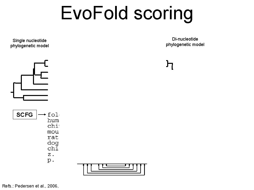 Evo. Fold scoring Single nucleotide phylogenetic model Di-nucleotide phylogenetic model fold SCFG Score: 11.